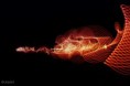 /album/fotogalerie-mal-so-mal-so/a40d-1-jpg/